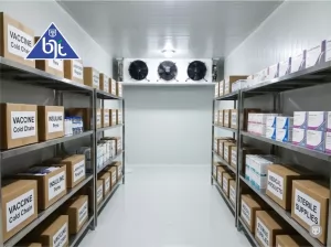 Dari Buah hingga Vaksin: Manfaat Cold Storage